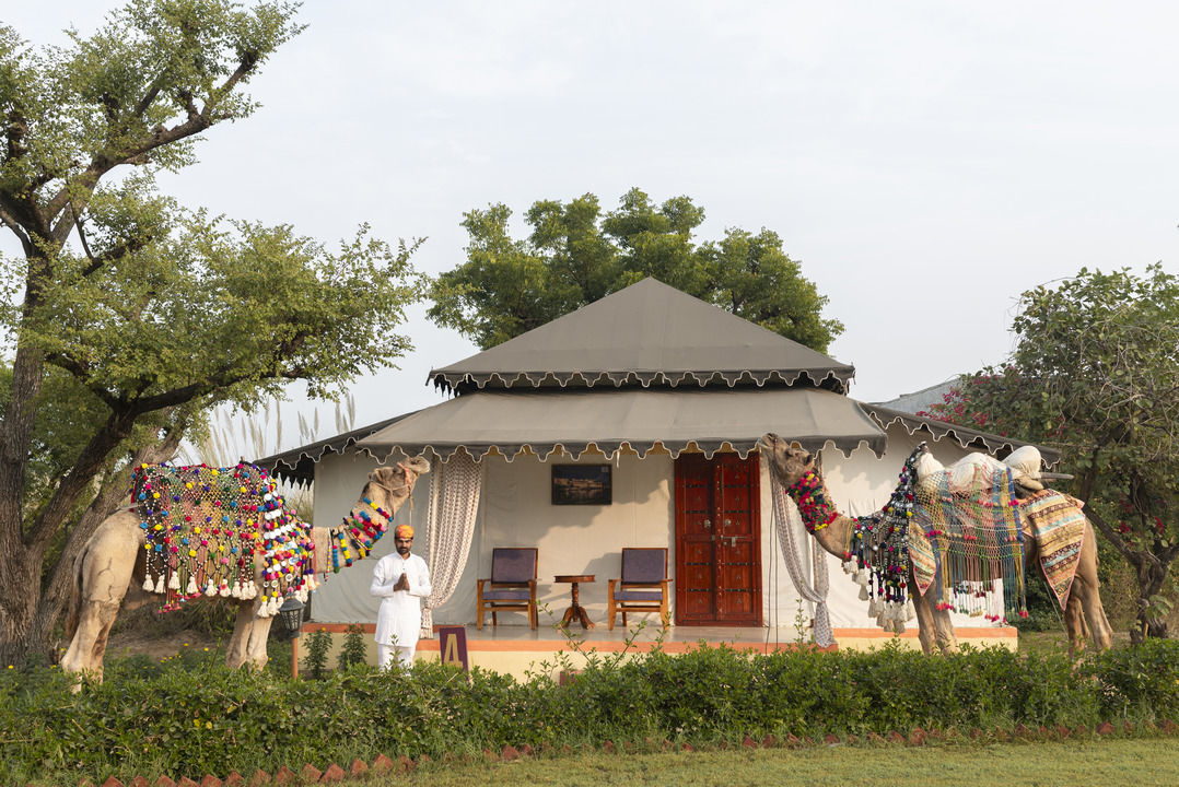 Resort in Pushkar