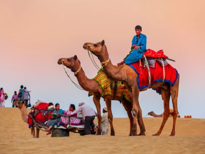 ajmer pushkar tour package