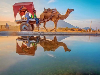 pushkar desert safari price