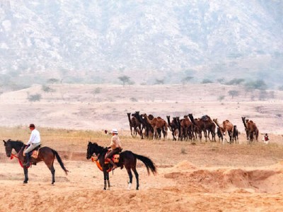 pushkar adventure camp & desert camel safari