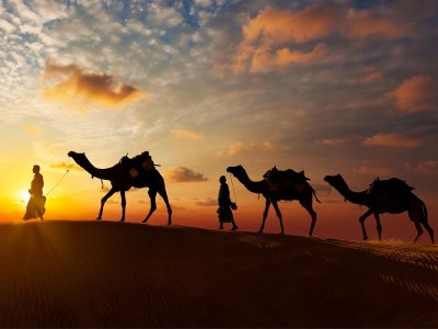 pushkar adventure camp & desert camel safari