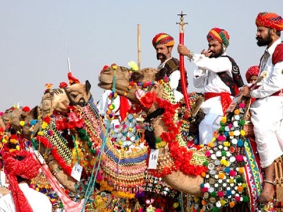 pushkar adventure camp & desert camel safari